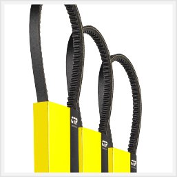 Correas y mangueras